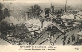 Ay, Revolution en Champagne; ruins of the Deutz and Geldermann spa (EK)