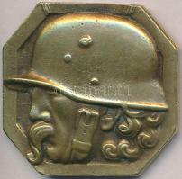 Baranyai-Lőrincz Gusztáv (1886-1977) 1920. Bronz katonai érem "Baranyai LG 1920" gyártói j...