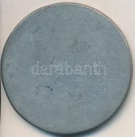 ~1700. "II. Rákóczi Ferenc" Sn emlékérem modern másolata "COPIE" beütéssel T:2-,...