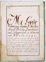 1834 Győr vármegye közgyűlésének a Dobos család nemességleveléről készült hiteles másolata, könyv alakban, papírkötésben, felzetes viaszpecséttel, foltos lapokkal