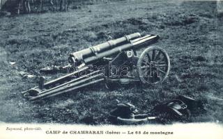 Champ de Chambaran, Le 65 de montagne / French WWI cannon
