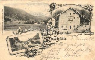 Maxhütte, Gasthaus Mühlwinkl, Kgl. Eisenwerk / guest house, ironworks, floral (EK)