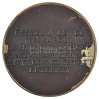 DN "Prof. Kováts Ferenc Senior 1988-1983" öntött Br plakett, hátlapján ragasztónyom. Szign...