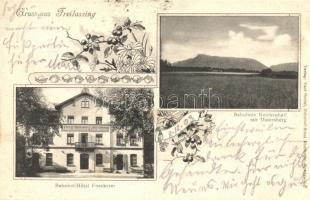 Freilassing, Bahnhof-Hotel Foeckerer, Bahnlinie Reichenhall / railway station hotel, railway