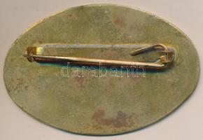 ~1980. "Katonai szállítmánykísérő" zománcozott fém jelvény (45x71mm) T:2