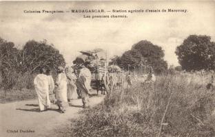 Marovoay, agricultural testing station, cart