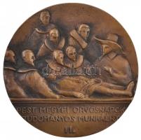 Ifj. Pál Mihály (1936-) DN "Arányi Lajos / Pest Megyei Orvosnapok - Tudományos munkáért II.&quo...