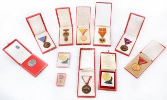 11db vegyes szocialista kitüntetés, emlékérem, jelvény, mind saját tokokban, közte "Gyógyszerkutató Intézet 10 éves Törzsgárda" fém emlékérem (41mm), 1978. "Vasutasnap" Al plakett eredeti tokban T:vegyes