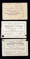 1927 Magyar királyi államvasutak fényképes igazolványa altiszt és családtagja részére 3 db