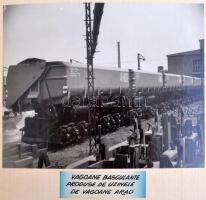 cca 1960 15 db fénykép Aradról (közterek, épületek, stb.),  feliratozva, nagyméretű bársonyborítású ...