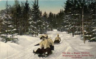 Tátra; téli élet a Magas Tátrában, Tobogánsport, szánkó / winter sports in Tatra mountain, Toboggan-sled (kopott sarkak / worn edges)