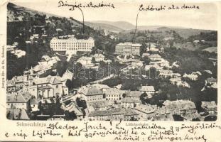 Selmecbánya, Banská Stiavnica; látkép a Bányász- és Erdészeti akadémiák épületeivel / panorama with the buildings of the Mining- and Forestry Academies (EK)