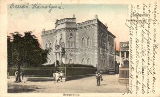 Kolozsvár, Cluj; Ferencz József út, Benkő villa / street, villa