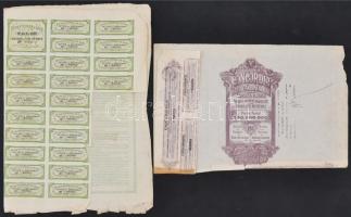 Belgium / Liége 1911. "Liége Központi Bank" részvény 500Fr-ról, szelvényekkel és bélyegzés...