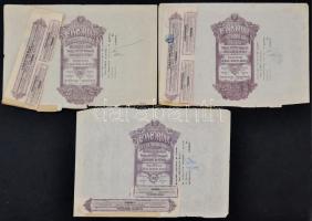 Románia / Bukarest 1923-1924. "Concordia - Román Olajtársaság" részvénye 250L-ről (3x), sz...