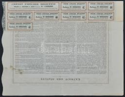 Franciaország/Párizs 1920. "Argentin Földhitel Társaság" részvénye 500Fr-ról, szelvényekke...