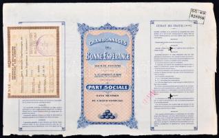 Belgium / Lambusart 1922. "Jóreménység Bányászati Részvénytársaság" részvény felülbélyegzé...