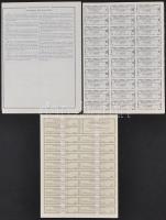 Belgium 1944-1961. 3db-os részvény tétel, benne "Oliehandel Olco N.V.", "Société Coto...