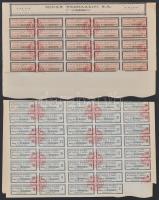 Franciaország/Párizs 1926. "Minas Pedrazzini Arany- és Ezüst Bánya" részvénye 100Fr-ról, s...