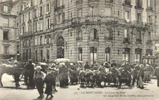 Le Mont-Dore, La Loue des Anes / rented donkeys, Hotel Sarciron Rainaldy (EK)