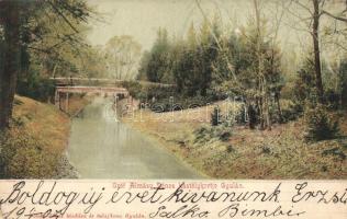 Gyula, Gróf Almásy Dénes kastélykertje; Dobay János kiadása (EK)