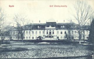 Gyula, Gróf Almásy Dénes kastélya