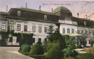 Gyula, Gróf Almásy Dénes kastélya; Dobay János kiadása