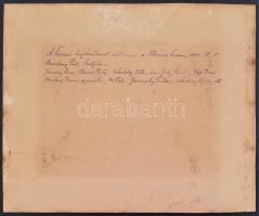 1894 A tavaszi hajtóvadászat eredménye a Velencei-tónál 1894. IV. 5., kartonra ragasztott fotó rajta...