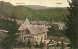 Borszék, Reitter-nyaraló / villa