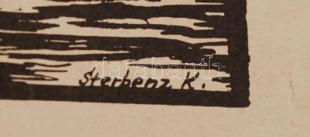 Sterbenz Károly (1901-1993): Sopron. Fametszet, papír, jelzett a dúcon, szakadásokkal, 15×21 cm