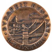 Franciaország 1984. &quot;Nemzetközi Műtrágya Központ 50 éves / Budapest&quot; Br plakett (98mm) T:2 France 1984. &quot;Centre International des Engrais Chimiques - 1933-1983 / Budapest Hungary&quot; Br plaque (98mm) C:2