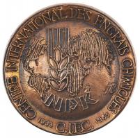 Franciaország 1984. "Nemzetközi Műtrágya Központ 50 éves / Budapest" Br plakett (98mm) T:2...