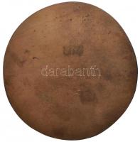 1976. "A mohácsi csata 450. évfordulója" egyoldalas Br érem (86mm) T:2