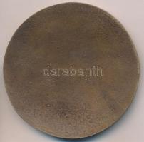 Csíkszentmihályi Róbert (1940-) 1995. "Betlehem" egyoldalas Br érem (83,5mm) T:2