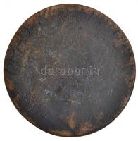 1976. "Kökény Anna" mesterjeggyel ellátott egyoldalas Br plakett (77,5mm) T:2