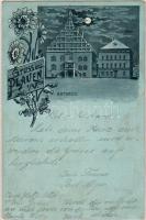 Plauen 1898 litho