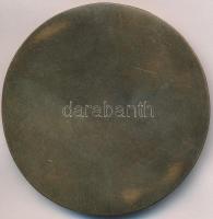 Ligeti Erika (1934-) DN "Csellista" egyoldalas Br érem (65mm) T:2