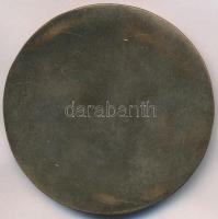 Ligeti Erika (1934-) DN "Macska" egyoldalas Br érem (64mm) T:2