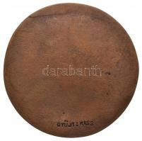 Várhelyi György (1942-) 1978. "Szem" egyoldalas Br érem (81mm) T:2