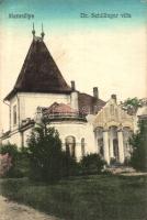 Marosillye, Ilia; Dr. Schillinger villa / villa