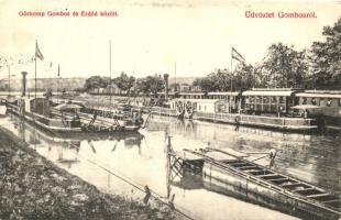 Gombos, Bogojevo; Gőzkomp Gombos és Erdőd között, kiadja Tipp Józsefné / steam ferry