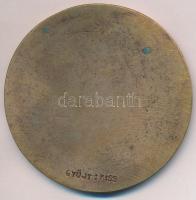 Várhelyi György (1942-) 1978. "Hulló falevelek" egyoldalas Br érem (81mm) T:2