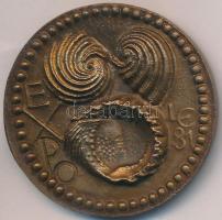 Ligeti Erika (1934-) 1981. "Expo" kétoldalas Br érem (40mm) T:2