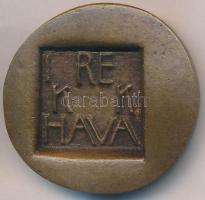 Ligeti Erika (1934-) DN "Ikrek hava" kétoldalas Br érem (39mm) T:2