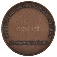 DN "Magyar Pénzügyek Szolgálatáért / Pénzügyminisztérium" Br emlékplakett eredeti tokban (...