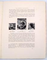 Petrovics Elek (szerk.): Az Országos Magyar Szépművészeti Múzeum évkönyvei. Közrebocsátja  az Igazga...