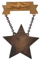 ~1950. "Kiváló műszaki dolgozó" zománcozott fém kitüntetés T:2