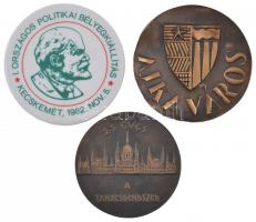 ~1980. "Ajka város" Br emlékérem eredeti tokban (95mm) + 1982. "I. Országos Politikai...
