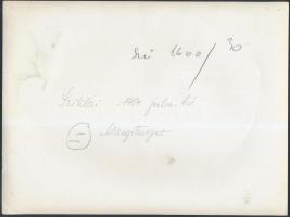 1954 Sziklai Dezső(1910-1997): Margitsziget, feliratozott, jelzett fotó, törésnyommal, kis szakadáss...