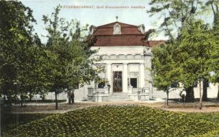 Füzesgyarmat, Gróf Blanckenstein kastély, kiadja Beck József